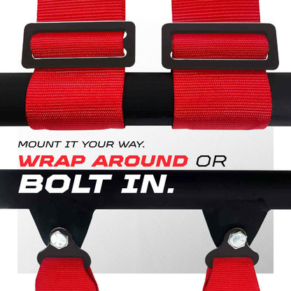SFI Approved 2" and  3" 5 point Harness, Racing Harness