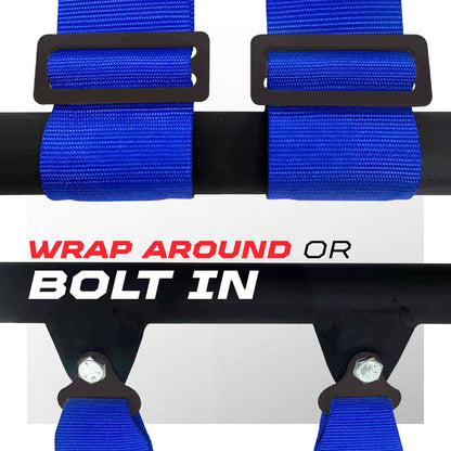 2" & 3" 4 point Harness with push button release