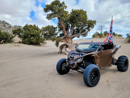 Can-Am X3 Cage
